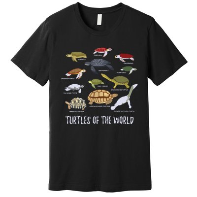 Types Of Turtle Tortoise Apparel Sea Turtle Lovers Premium T-Shirt