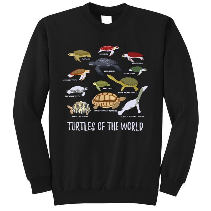 Types Of Turtle Tortoise Apparel Sea Turtle Lovers Tall Sweatshirt