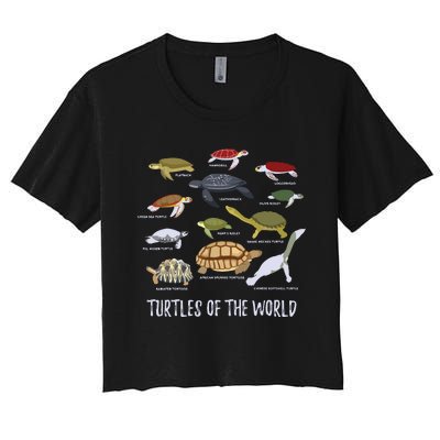 Types Of Turtle Tortoise Apparel Sea Turtle Lovers Women's Crop Top Tee