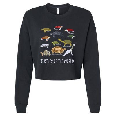 Types Of Turtle Tortoise Apparel Sea Turtle Lovers Cropped Pullover Crew