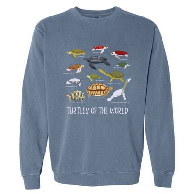 Types Of Turtle Tortoise Apparel Sea Turtle Lovers Garment-Dyed Sweatshirt