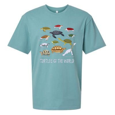 Types Of Turtle Tortoise Apparel Sea Turtle Lovers Sueded Cloud Jersey T-Shirt