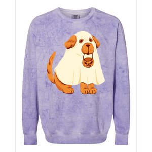 Trick Or Treat Dog Cute Halloween Colorblast Crewneck Sweatshirt