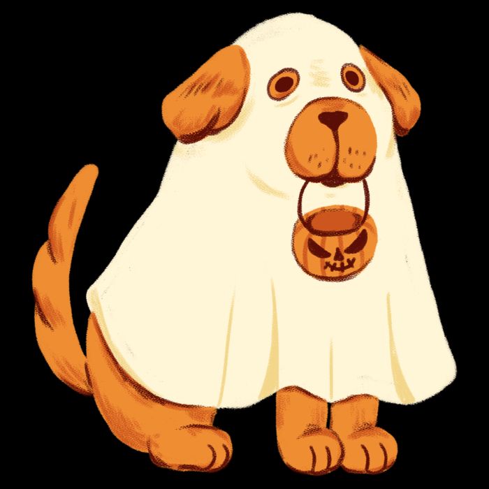 Trick Or Treat Dog Cute Halloween 16 in Basic Backpack