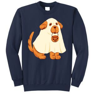 Trick Or Treat Dog Cute Halloween Sweatshirt