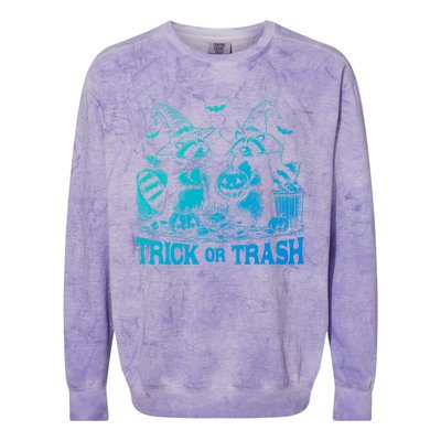 Trick Or Trash Funny Raccoon Halloween Vintage Ghost Costume Gift Colorblast Crewneck Sweatshirt