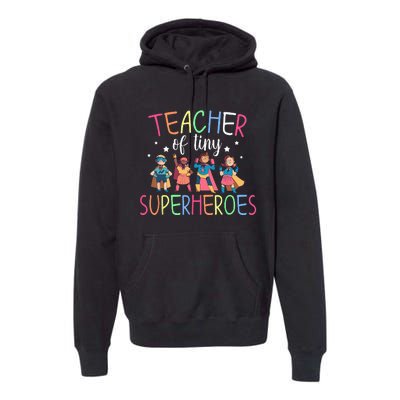 Teacher Of Tiny Superheroes Premium Hoodie