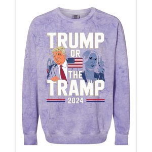 Trump Or The Tramp 2024 Vote For Trump Colorblast Crewneck Sweatshirt