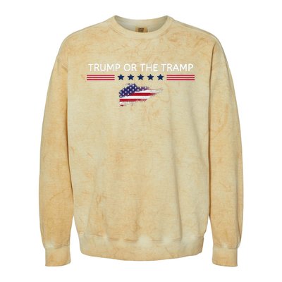 Trump Or The Tramp 2024 Vote Vance 2024 Colorblast Crewneck Sweatshirt