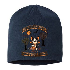 Trick Or Treat With A Boston Terrier Halloween Graphic Sustainable Beanie