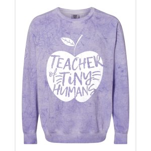 Teacher Of Tiny Hu Funny Preschool Kindergarten Teacher Gift Colorblast Crewneck Sweatshirt