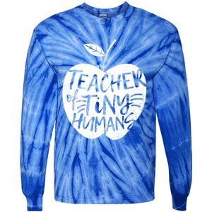 Teacher Of Tiny Hu Funny Preschool Kindergarten Teacher Gift Tie-Dye Long Sleeve Shirt