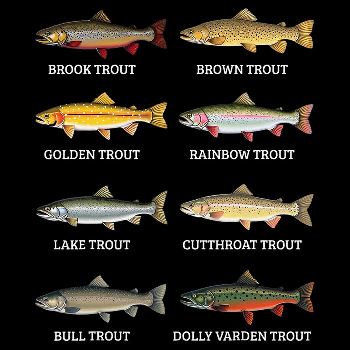 Types Of Trout Fish Trout Species Chart Ichthyology Guide 16 in Basic Backpack