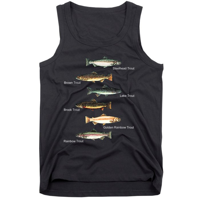 Types Of Trout Fish Species Collection Fishing Tank Top