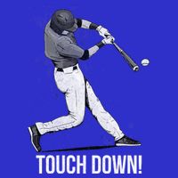 Touch Down Baseball Home Run Tumbler