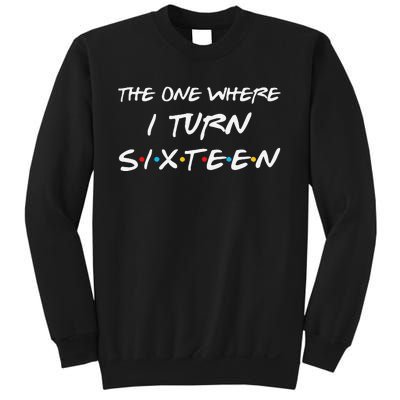 The One Where I Turn Sixteen Funny 16th Birthday Party Gift Sweatshirt