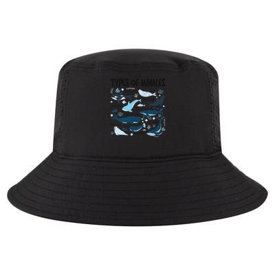 Types of Whales Cute Whale Breeds Species - Whale Lovers Cool Comfort Performance Bucket Hat
