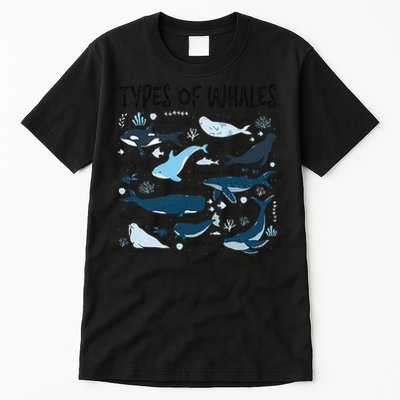 Types of Whales Cute Whale Breeds Species - Whale Lovers Tall T-Shirt