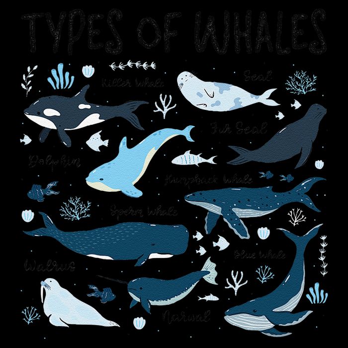 Types of Whales Cute Whale Breeds Species - Whale Lovers Tall T-Shirt