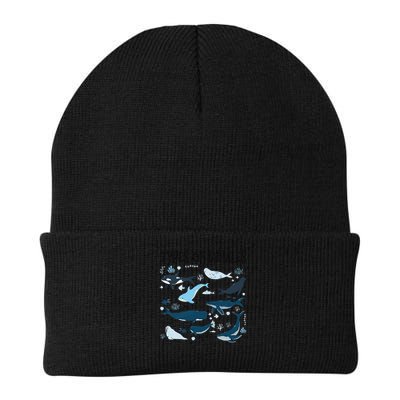 Types of Whales Cute Whale Breeds Species - Whale Lovers Beanie