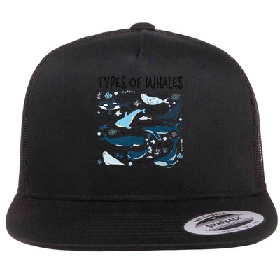 Types of Whales Cute Whale Breeds Species - Whale Lovers Flatbill Hat
