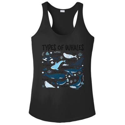 Types of Whales Cute Whale Breeds Species - Whale Lovers Ladies PosiCharge Competitor Racerback Tank