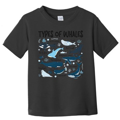 Types of Whales Cute Whale Breeds Species - Whale Lovers Toddler T-Shirt