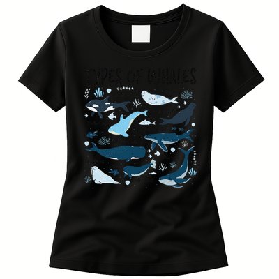 Types of Whales Cute Whale Breeds Species - Whale Lovers Womens T-Shirt