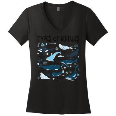 Types of Whales Cute Whale Breeds Species - Whale Lovers Women's V-Neck T-Shirt