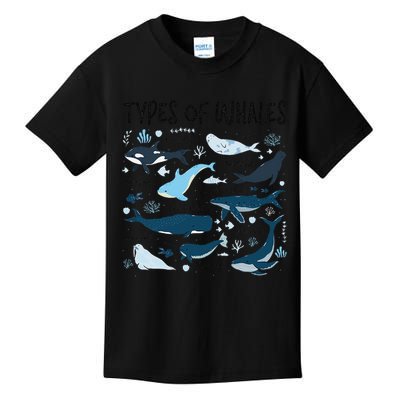 Types of Whales Cute Whale Breeds Species - Whale Lovers Kids T-Shirt