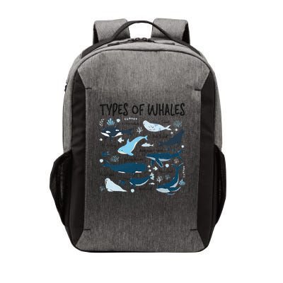 Types of Whales Cute Whale Breeds Species - Whale Lovers Vector Backpack
