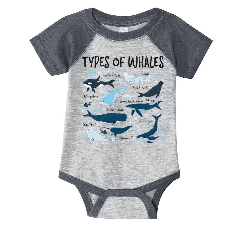 Types of Whales Cute Whale Breeds Species - Whale Lovers Infant Baby Jersey Bodysuit