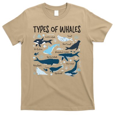 Types of Whales Cute Whale Breeds Species - Whale Lovers T-Shirt