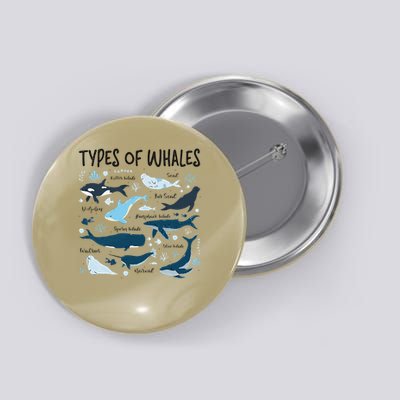 Types of Whales Cute Whale Breeds Species - Whale Lovers Button
