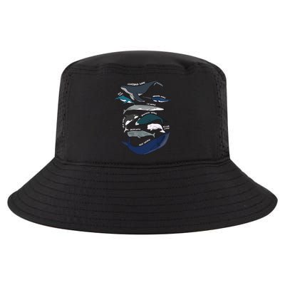 Types Of Whales Cute Ocean Mammals Guide Cool Comfort Performance Bucket Hat