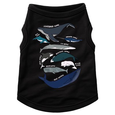 Types Of Whales Cute Ocean Mammals Guide Doggie Tank
