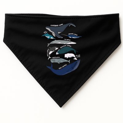 Types Of Whales Cute Ocean Mammals Guide USA-Made Doggie Bandana