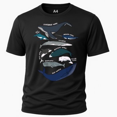 Types Of Whales Cute Ocean Mammals Guide Performance Shirt