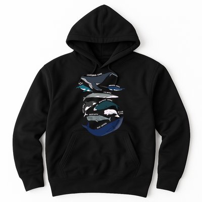 Types Of Whales Cute Ocean Mammals Guide Hoodie