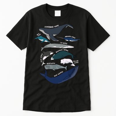 Types Of Whales Cute Ocean Mammals Guide Tall T-Shirt
