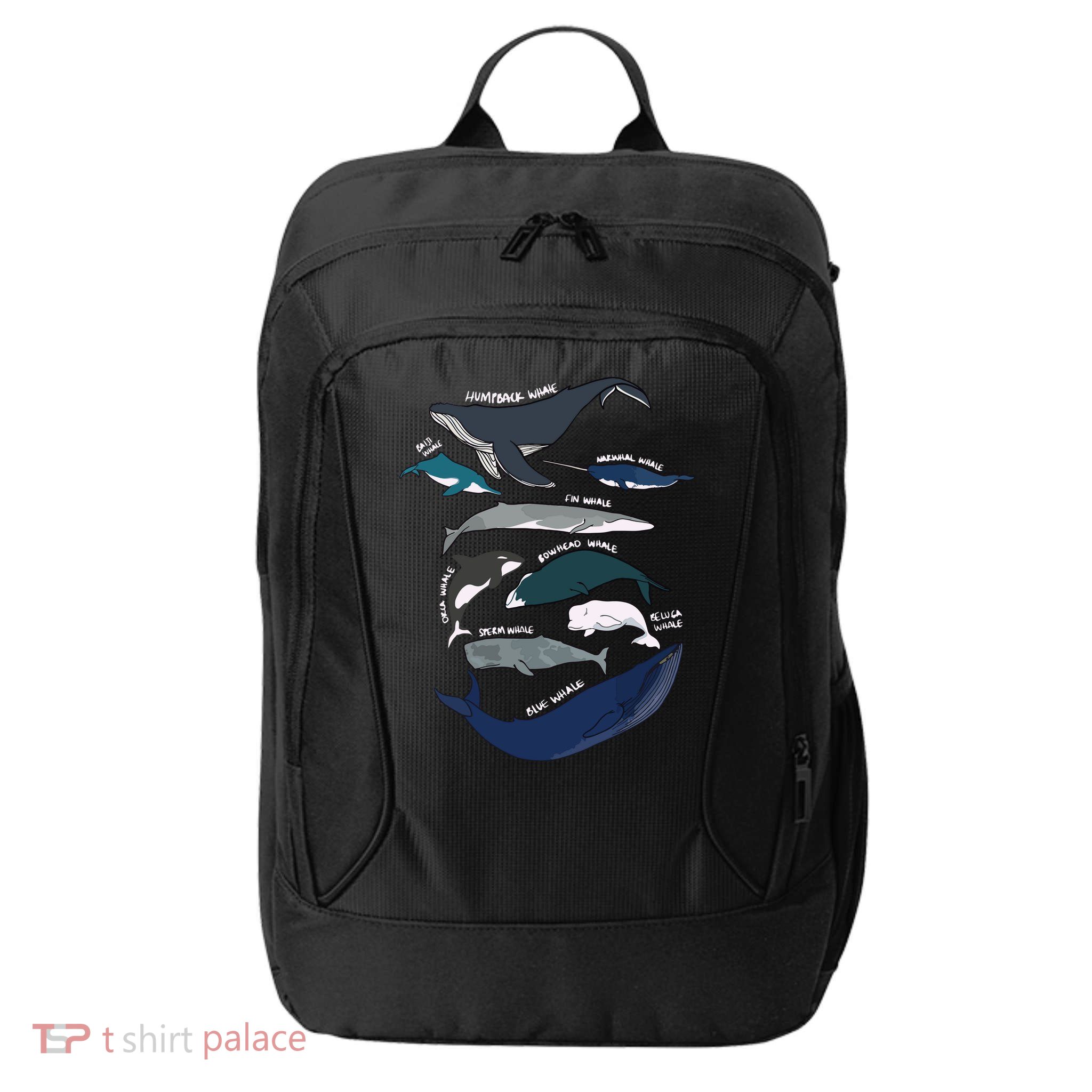 Types Of Whales Cute Ocean Mammals Guide City Backpack