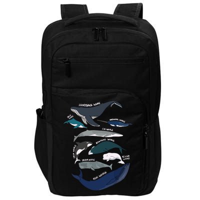Types Of Whales Cute Ocean Mammals Guide Impact Tech Backpack