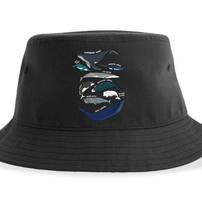 Types Of Whales Cute Ocean Mammals Guide Sustainable Bucket Hat