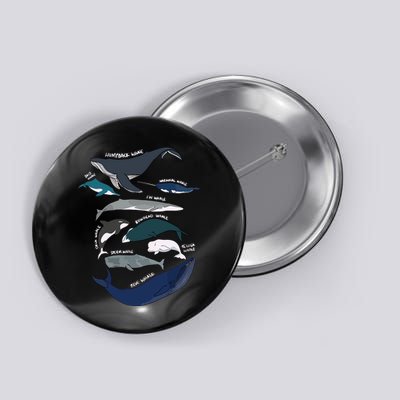 Types Of Whales Cute Ocean Mammals Guide Button