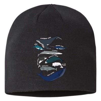 Types Of Whales Cute Ocean Mammals Guide Sustainable Beanie
