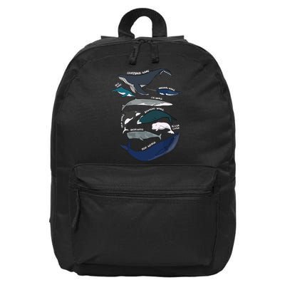Types Of Whales Cute Ocean Mammals Guide 16 in Basic Backpack