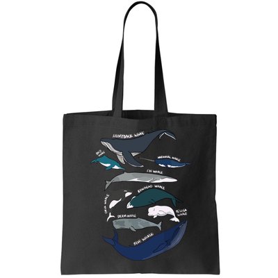 Types Of Whales Cute Ocean Mammals Guide Bag