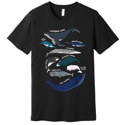 Types Of Whales Cute Ocean Mammals Guide Premium T-Shirt