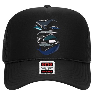 Types Of Whales Cute Ocean Mammals Guide Trucker Hat