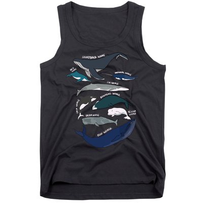 Types Of Whales Cute Ocean Mammals Guide Tank Top